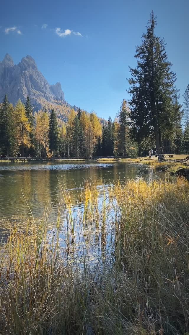 Dolomites … octobre 2025 🍂🍁🏔️
•
Lac d’Antorno 🌌🏞️
•
•
#dolomites #dolomitesitaly #dolomiti #dolomitesenvan #dolomiten #dolomiti_emotions #dolomity #dolomitesunesco #thedolomites #lacdantorno #vanlife #vandolomites #vancamper