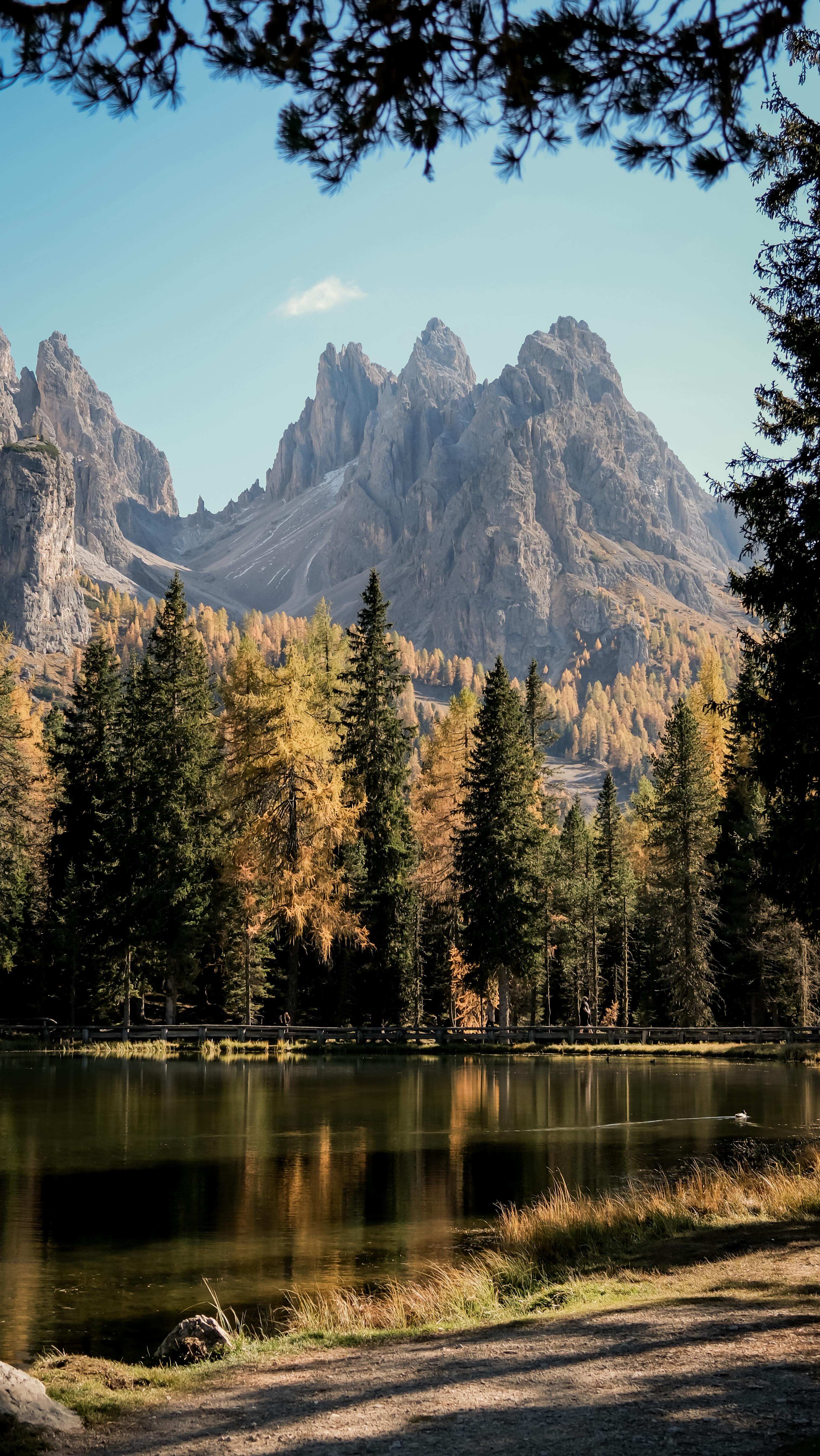 2 0 2 5 … 🤍
•
Une année que j’avais envie de poser en images… parce que tout est passé beaucoup trop vite 🫠 Des moments forts, des projets fous, du perso, du pro, parfois bien mélangés (souvent même 😅) !!
•
Plus les années passent, plus je réalise à quel point le temps file à une vitesse indécente. On cligne des yeux et hop… une saison de plus, des souvenirs en pagaille, et toujours cette sensation de courir après le temps ⏳📸
•
J’ai beaucoup ri. J’ai appris. J’ai avancé. Et j’ai douté… tout le temps 😄 … Douter de mes choix, de mon travail, de la suite. Bref, le doute fait clairement partie du décor (et apparemment, il a décidé de s’installer confortablement 🪑).
•
2025 m’a bousculée, questionnée, poussée à réfléchir autrement. Des évènements ont fait que certaines choses vont changer. Pas encore de grandes annonces ici… mais l’envie est là, bien présente 👀✨
•
Et malgré la vitesse, le flou parfois, les virages un peu serrés, je regarde cette année avec beaucoup de gratitude. Parce qu’elle m’a appris à ralentir quand il le fallait, à faire confiance, et surtout à continuer d’avancer avec envie et curiosité 🤍 La suite s’écrit déjà, doucement… mais avec une énergie toute neuve.
•
Et pour ceux qui vont se reconnaître dans ce reel 👀 : oui, vous êtes là !!! Toujours là ♥️ Et pour les autres… promis, je pense aussi à vous (mais un montage de 35 minutes, c’était non 😅).
Je suis bien entourée, et cette année 2025 n’aurait clairement pas eu la même saveur sans toutes les personnes qui ont été à mes côtés 🫶 (merci!) ✨
•
2026 🤍
Ce n’est pas un reset. Juste la suite … 🫶🏻
•
•
#photographeprovence #2026herewego #provence #manongviaphotographe #pourvuquonreveencore 
•
🎶🎤 : @naumaur 👏🏻