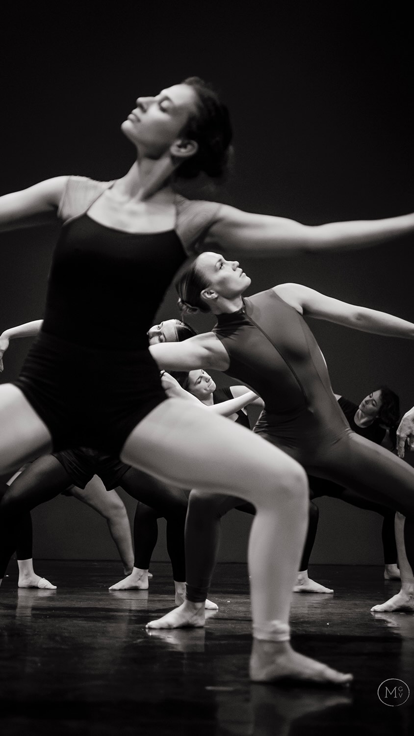 🩰 S a i s o n D a n s e … 🪩📸
•
Woooow… quelle saison 🫠🫶
Entre le 30 mai et le 7 juillet, j’ai couvert les galas de 17 écoles de danse (oui, DIX-SEPT 😅) et j’ai pris… un nombre indécent de photos. J’ai pas calculé le nombre total mais je pense que c’est pas plus mal 😋🙈 … 📸💃🩰
Des semaines à courir en coulisses, à m’émerveiller devant chacune de vos chorés, à capturer vos plus beaux portés et à essayer de ne rien louper de chaque passage 🤍
•
👉 Toutes les photos sont toujours en ligne et toujours dispo ! 📸🎞️ www.manongviaphotographe.com
Alors, si vous n’avez pas encore été voir, ou si vous voulez compléter vos souvenirs, c’est le moment 🔗 (lien dans la bio 😉) 
Si vous avez besoin des codes, n’hésitez pas à m’envoyer un petit message 💌
•
Un énorme merci à toutes les écoles de danse qui m’ont fait confiance cette année 🙏
C’est toujours un plaisir de vous suivre, de voir grandir vos danseurs et de partager ces moments avec vous ✨ Merci merci merci 🤍🤍🤍
•
🎥 J’ai enfin pris le temps de faire ce petit résumé (4 mois après ça vaaaaaa 🙃😆🫣) histoire de revivre cette saison marathon… et franchement, ça valait le coup 🔥 Merci @gv_studiophoto_danse pour l’idée !! 💡♥️
•
📸 @ecolededanseaudreylhote 
•
•
#photographedanse #photographevar #photographepaca #galadedanse #dance #dancers #danceislife #dancerofinstagram #dancerspose #photographedegaladedanse #photographe83 #photographedespectacle #photographeprovence #passiondanse #instantsprecieux #manongviaphotographe #photographerdance #photographerdancer